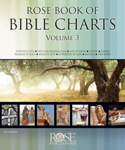 ROSE BOOK OF BIBLE CHARTS VOL 3